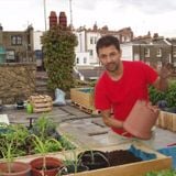 Kevin Mascarenhas on the Permaculture Principle 'Use & Value Renewable Resources'