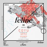 SPFZ at Feline - Nitsa ( Apolo Barcelona 8.1.2016) warm up