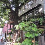 Hiroo