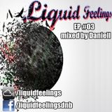 Liquid Feelings EP#03 mixed by Daniell