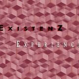 Experience (June 2009)