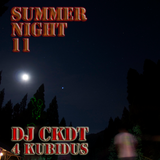 Summer Night '11