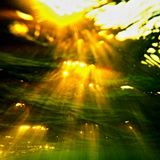 Balearica vol. 10
