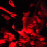 SPECIAL 004 w/ Andrea (Ilian Tape)