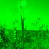 Techno Vida - Dunkle Blumen LiveSet