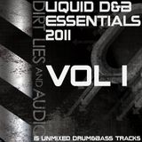 Various Artists - Liquid D&B Essentials 2011 Vol.1 (Album MegaMix)
