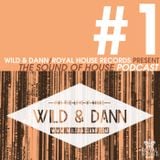 The Sound of House #1 podcast with Wild & Dann