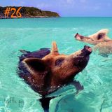Mix 26 // Truffle Pig
