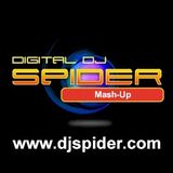Spiders Mash-Up Mix 2010