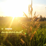 Unwind (Vol 27 - Guest Mix on 'Undiscovered Scenery')