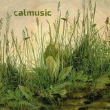 calmusic