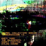 Transmission 3 (Avey Tare)