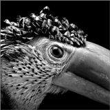 All I See Is You (Spatial Issue #13)