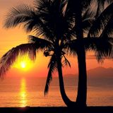 DJ Vybz - Red Sky TranceTech Mix (2016)