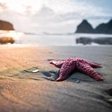 Büro am Meer
