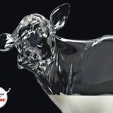 liquid mix - 6/5/2013