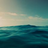 Dither - August12 mix