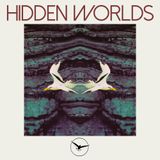 Hidden Worlds