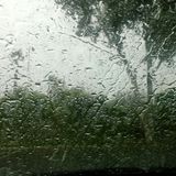 Wie das Wetter
