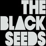 Sunny Side Up (015: 31/5/12) with The Black Seeds