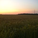 midsummer Mix
