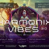 Harmonix Vibes