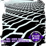 SS | Mini Mix (mixed by Sadeem)