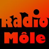 Libre antenne Radio Môle Halloween 31/10/14