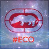 DJ MaxWille - ECO (Tech-House Mix)