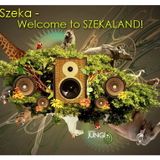 Dj Szeka - Welcome to SzekaLand (promo mix)