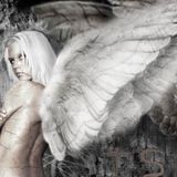 Angels of Light vs Angels of Dark - Set 1 - Angels of Light