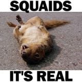SQUAIDS - It's Real