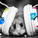 DJMuis.nl - November 2015