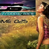 LDS 025 MIXED BY ROBBIE LOCK