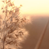'A QUICK 40' - A LITTLE SUN TINTED BLEND OF HAPPY WARMTH...SEASONS GREETINGS X .