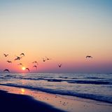 Shore To Shore