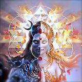 Pineal Pilgrim