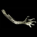 TriMatz - i.m. - Phantom Of The Opera nic mix 2014