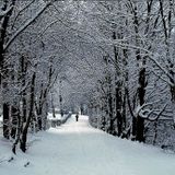 Weg mit dem Winter!