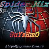 Spider Mix 01MMXI @(ô;ô)@