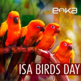 DJ EOKA - 08.2.2014 // Isabelle Birds Day