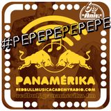 Panamérika No.300 - #pepepepepepe
