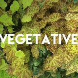 Vegetative