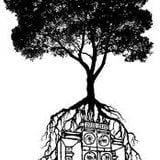 Library: Roots & Culture