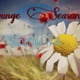 Lounge Season 14 Sping