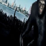 Nitrous - A Journey Into Monkey Land Vol. 2