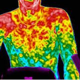 Temperature Distribution