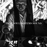 THAT SOULSYSTEMS SOUND