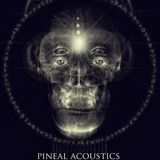 Raum 107 - Lineal Accustics Against Humanity (Mix For Mental Disorder Podcast In 2012)