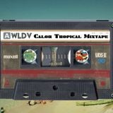 WLDV - We Love Dolce Vita - Mixtape N.4: Calor Tropical
